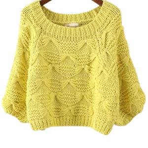 Ladies Designed Cropped Sweater